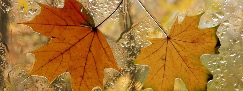 Погода на 10 ноября: в Днепре будет пасмурно и без дождей