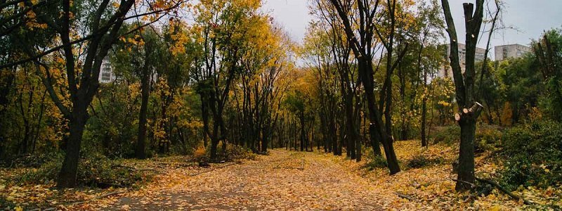 Реконструкцию и ремонт трех парков Днепра завершат в 2018 году