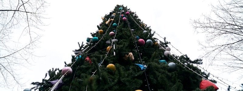В парке Шевченко установили праздничную елку