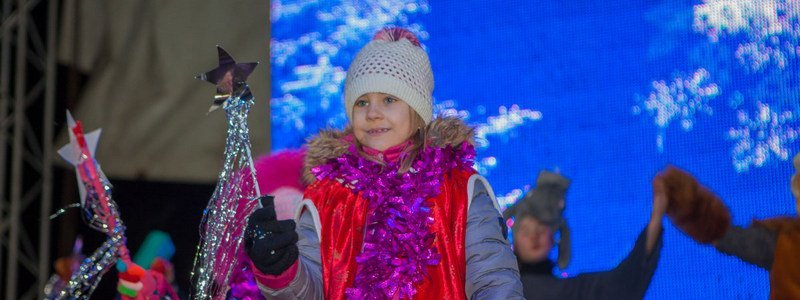 В парке Писаржевского торжественно открыли новогоднюю елку