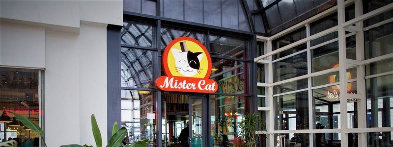 Драка в Mister Cat в ЦУМе: подробности разборок охраны кафе с посетителями