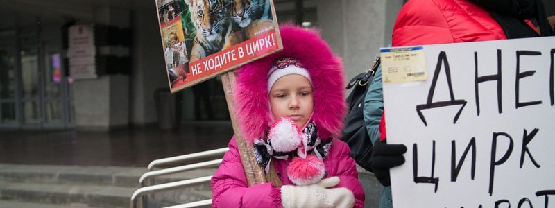 Под горсоветом Днепра зоозащитники вышли на митинг против жестокости в цирке