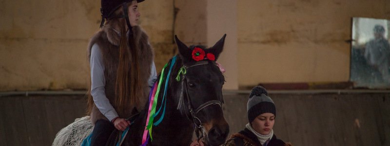 Стук подков, музыка и единороги: в Днепре прошел конный карнавал