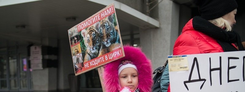 В Днепре пройдет всеукраинская акция "Цирк без животных"