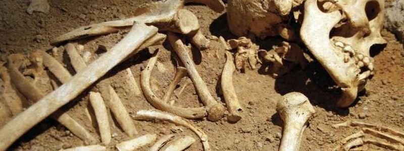 На проспекте Поля в люке нашли человеческие кости