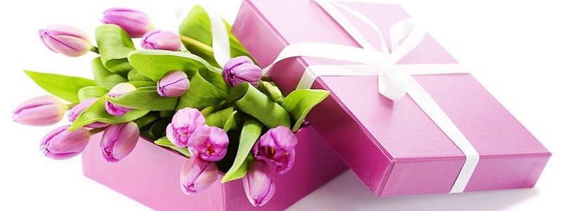 Идеальный подарок к Женскому дню: сертификаты на косметологические услуги со скидкой
