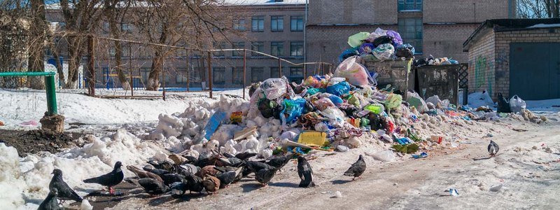 Один из дворов на проспекте Поля превращается в мусорную свалку