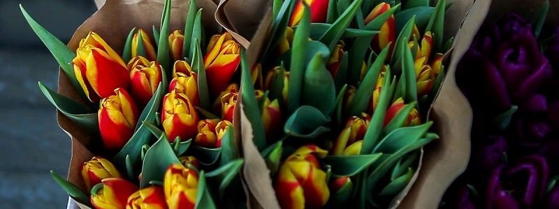 Апокалипсис на Озерке: перед 8 Марта люди массово скупают цветы