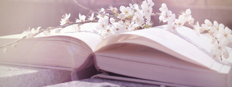 ТОП-15 книг о весне, которые захватывают и вдохновляют