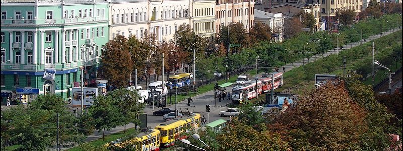 В Днепре капитально отремонтируют центр города и заменят деревья на новые