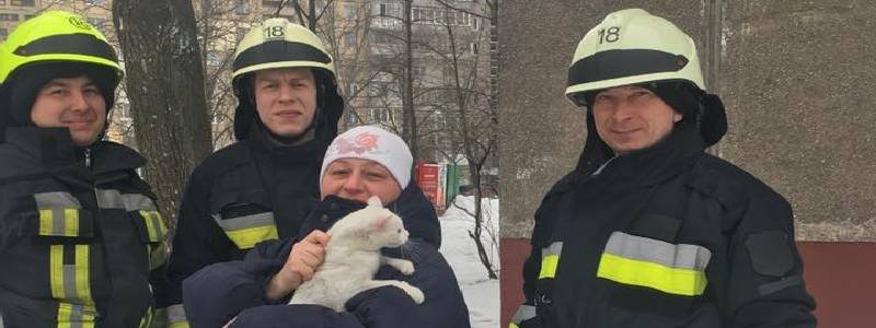 В Днепре сотрудники ГСЧС спасли маленького котенка