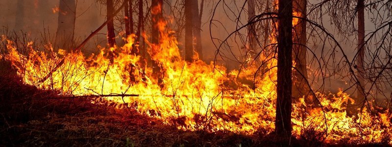 В Днепре объявили наивысший уровень пожароопасности