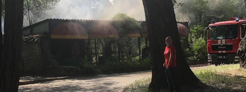 Пожар на Монастырском острове: горело кафе