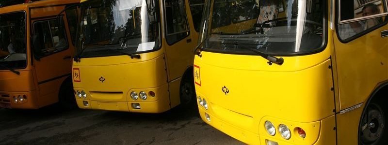 В Днепре отменят несколько маршруток и добавят автобусы в Таромское