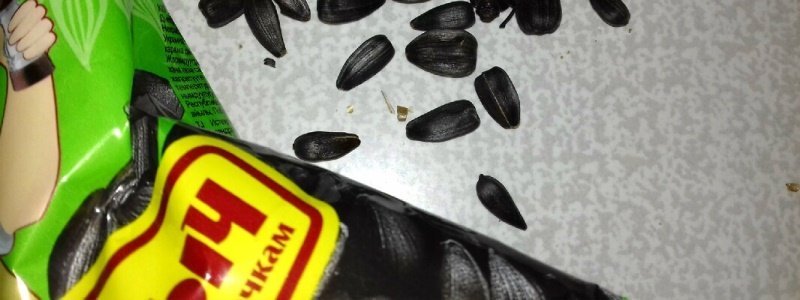В семечках "Сан Саныч", купленных в "АТБ", девушка нашла таракана