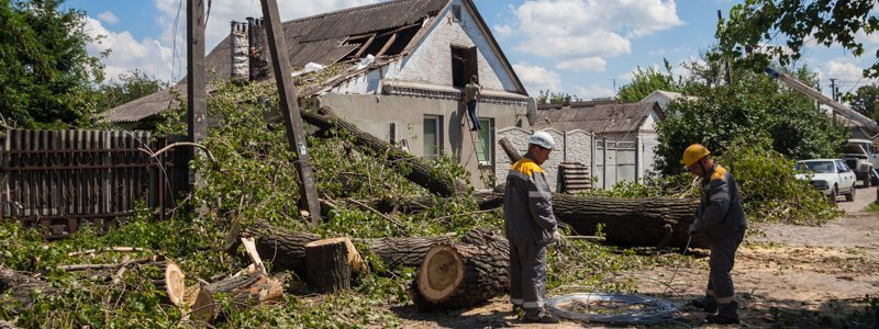 В Днепре во время грозы дерево рухнуло на крышу жилого дома