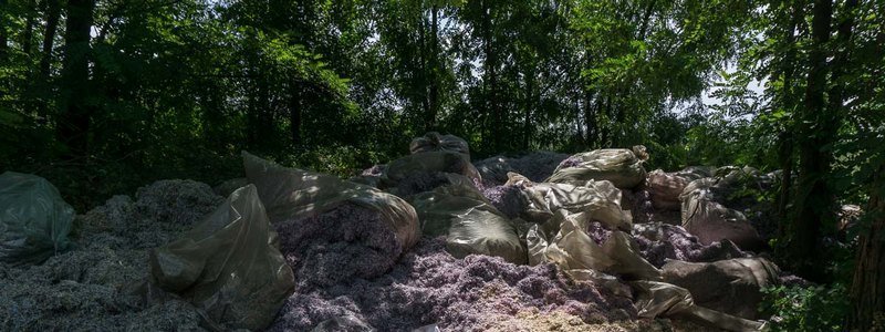 Кладбище гривен: в Днепре в лесопосадке нашли мешки с деньгами