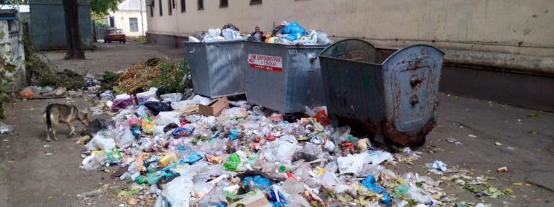 Жители Днепра смогут сообщать о невывозе мусора в режиме онлайн