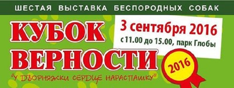 В Днепре пройдет шестой "Кубок Верности"