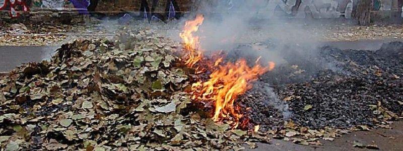 За сожжение листьев в Днепре придется заплатить 1900 гривен