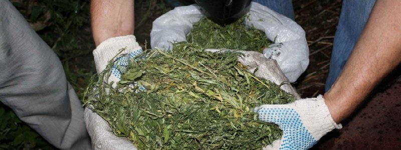 На Днепропетровщине у мужчины изъяли 5 кг наркотиков