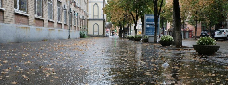Осень официально настала: в Днепре идет дождь