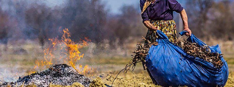 Жители Днепра страдают от смрада горящей листвы