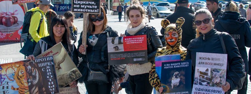 Мех - кровавое жлобство: в центре Днепра прошел марш в защиту животных