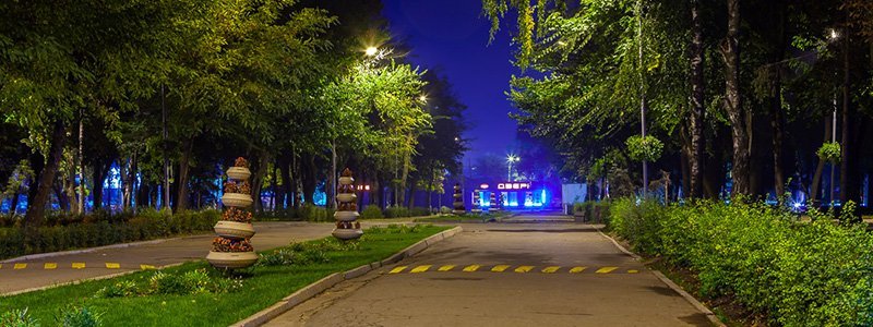 Как выглядит парк Писаржевского под покровом ночи