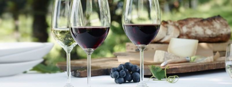В Днепре пройдет фестиваль грузинских вин GEORGIA WINE FEST 2018