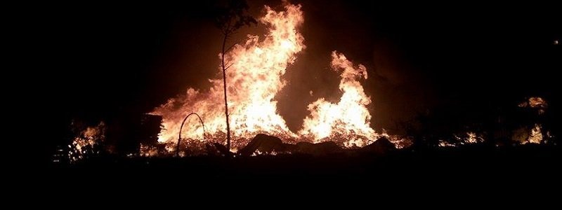 Жителей Днепра предупредили о высокой пожарной опасности