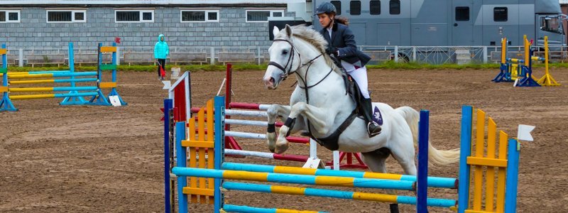 Грация и элегантность: в Днепре прошел чемпионат по конному спорту