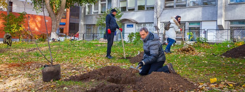 Чудеса самоорганизации: в Днепре жители улицы Гусенко сами высаживали деревья