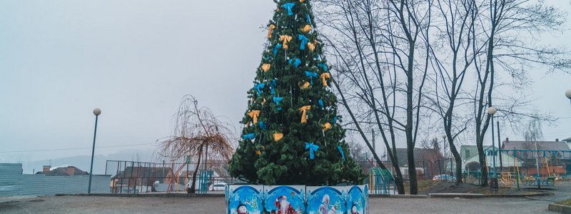В парках Днепра установили новогодние елки