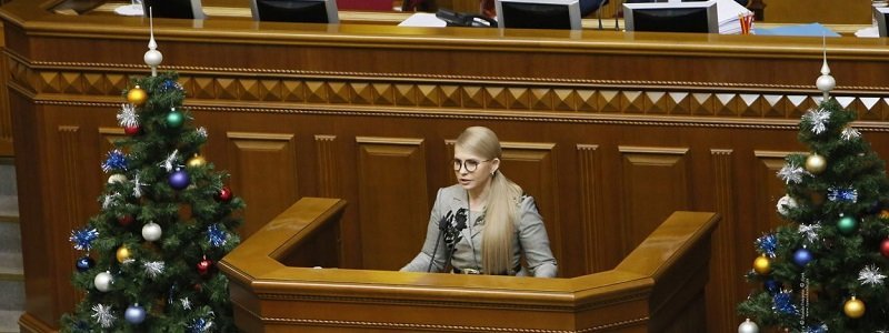 Юлия Тимошенко призывает запретить продавать украинскую землю