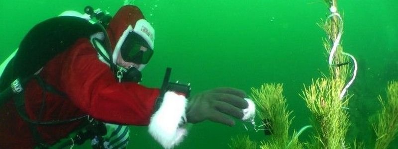 Дайверы из Днепра установили новогоднюю елку под водой