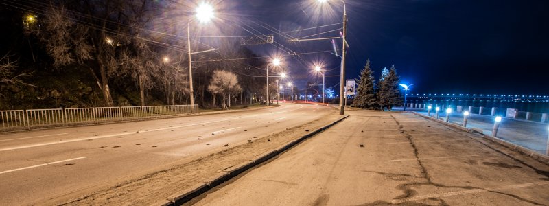 Вся дорога усыпана: в Днепре на Сичеславской Набережной погибла стая птиц