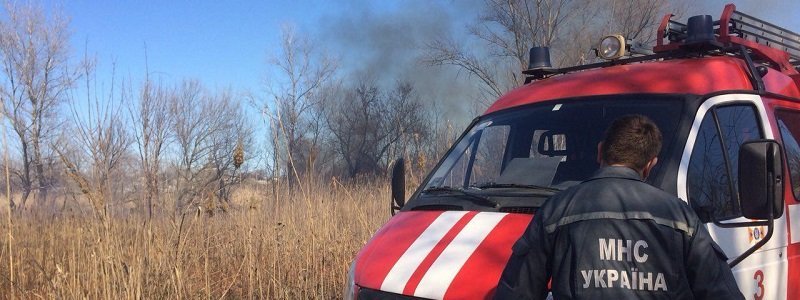 Спасатели призвали жителей Днепра не выжигать сухую траву