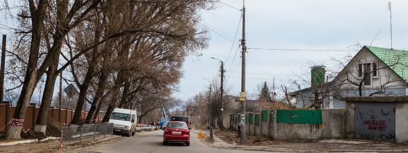 В Днепре жители улицы Ляшко-Попеля боятся за свои жизни из-за обрезки деревьев