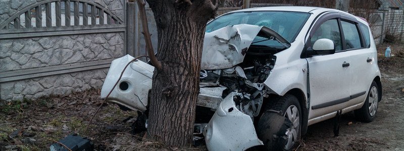 В Днепре Nissan въехал в дерево: пострадали двое мужчин