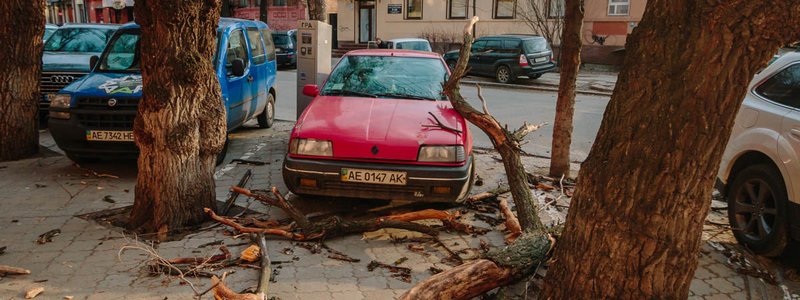 В центре Днепра от ветра на Renault упала ветка с дерева