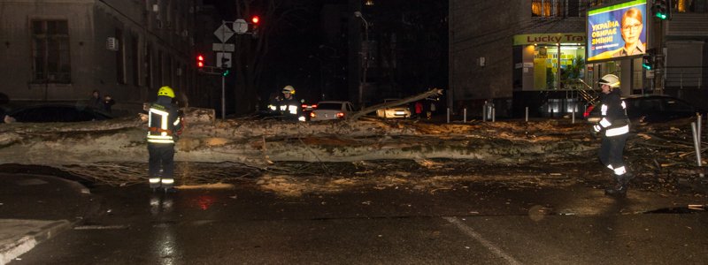 Упавшие деревья, пробки и сломанный билборд: в Днепр пришла непогода