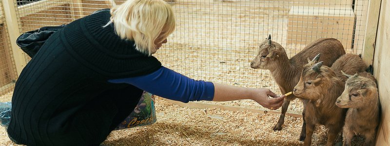 Контактный зоопарк в Днепре: почему это плохо для детей и животных