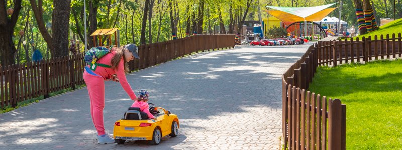 В Днепре в парке "Зеленый Гай" появится зона для пикников, мангалы и детские площадки