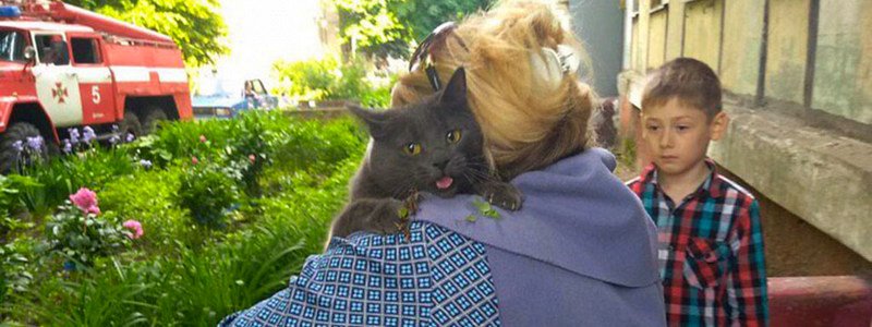 В Днепре на Академика Янгеля спасатели сняли котика с дерева