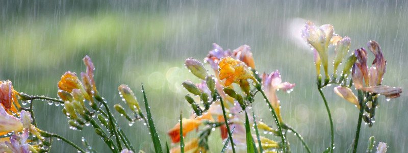 Погода на 1 июня: в Днепре ожидается дождь с грозой