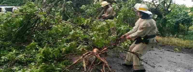Из-за сильного ветра в Днепре и области попадали деревья