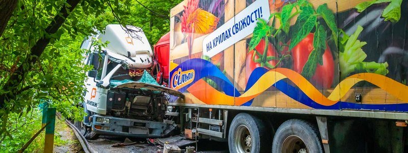 В Днепре на Игрени столкнулись фура и грузовик: водителя зажало в кабине