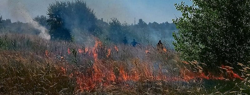 На выезде из Днепра горит сухой камыш и трава