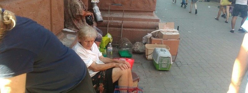 В Днепре бабушки сидели на жаре с десятком животных, заключенных в тесные коробки